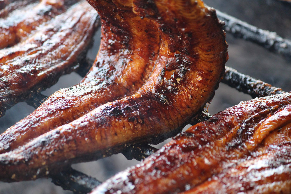 鰻屋に最適な炭とは？備長炭がおすすめな理由を解説！